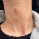 새솔외과의원 이미지