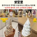 새한목장 | 방문한 꾸덕한 우유 아이스크림 전문점"요츠바 화이트 코지" 신치토세 공항 솔직 후기(와플콘 480엔)