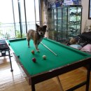 세이당구장 이미지