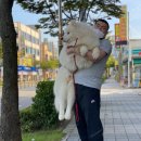브리더하우스 이미지