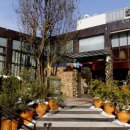 자연주의건강요리 이미지