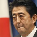 Japan Prime Minister Shinzo Abe Calls Snap Election-wsj 11/18 : 일본 Abe 총리 국회해산 총선실시 발표 배경과 Abenomics 전망 이미지
