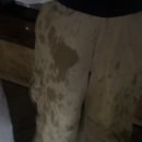 쌈마이PC방 이미지