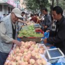 시내목장 이미지