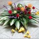 분당요한성당 이미지