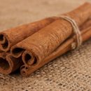 대학육계2 이미지