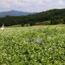 본전갈비 이미지