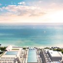 힐튼스테이 이미지