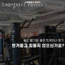 스페셜바디 레이디 이미지