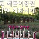 해돋이공원 네이버블로그