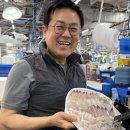 유진시스템앞(40676) | [강서/외발산] 유진유통 : 강서구 수산시장 회 맛집 유진유통에서 봄 제철 회 먹고 왔어요! (도다리...