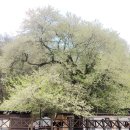 가야자동차카정비 이미지