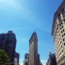 메디슨무역 이미지