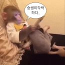 유림밧데리 | 시간이 왜이래