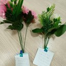 그림책 읽고 감사 편지 쓰기 이미지