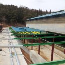 순창금산흑염소농장 이미지