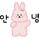 오로라네트웍스 이미지