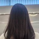 데이지엘헤어 과천점 이미지