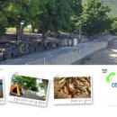 초전마을야영장 이미지