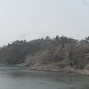 옥도면 장자도리 이미지