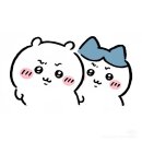 영인동물병원 | 애매한 감정의 라인