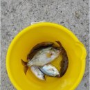 우리만물센터 이미지