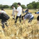 김동진농장 이미지