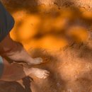 황성공원 시민운동장 이미지