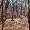 독산봉수지 이미지