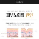 정안테라피 이미지