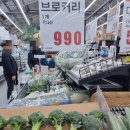 동홍소랑 이미지