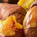 태기농장 이미지