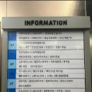 블리수네일