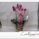 대왕자동차공업사 이미지