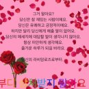 한빛약국 | [6박 7일 몽골 여행후기 3] 나는솔로 낙타편에 출연해버린 여성