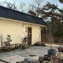 심플 | 경주 유온 숲 심플팩 후기 주말 10만원 조식 포함 감성 숙소