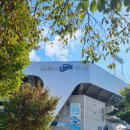 대구 삼성라이온즈파크 ⚾️ 이미지