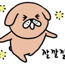 충만카센타