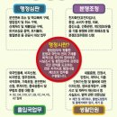 알파행정사 네이버블로그