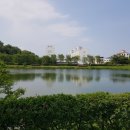 진영공원 이미지