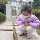 신동-117 이미지