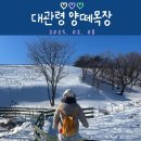 남일목장 | [2월] 평창 대관령 양떼목장