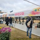 원일로 | 🍂 2025 원주 만두축제 후기 🥟 맛・향・분위기 다 잡은 가을축제