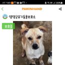 멍돌이와 멍순이 Daum카페