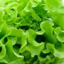 그린푸드 이미지