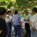 새힘컨설팅 이미지