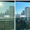 그린하우스방역