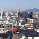 도마네거리 이미지