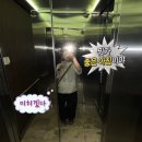 무지개크리닝 | 🇳🇿 쉽게만 살아가면 재미없어 빙고 | 브리즈번 워홀 D+29~35