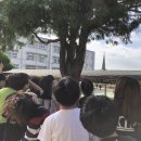 병영초등학교 이미지